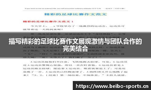 bb贝博体育官网