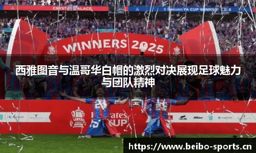 bb贝博体育官网