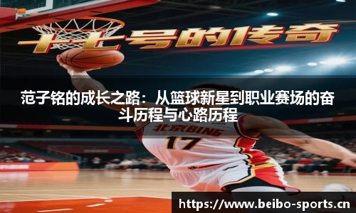 bb贝博体育平台
