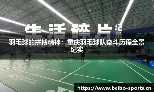 bb贝博体育平台